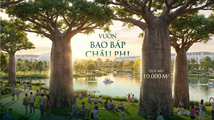 Vườn bao báp châu Phi