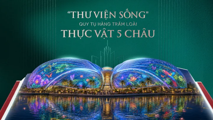 Thư viện sống